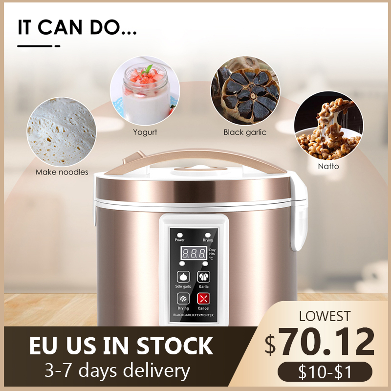 Diy Electronics Starter Kit - 5L fermentatore di aglio nero completamente