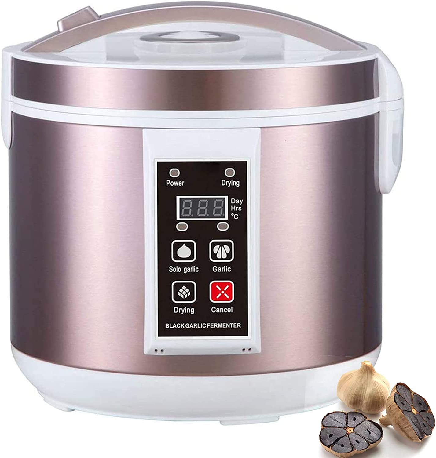 5L fermentatore di aglio nero  - Diy Electronics Starter Kit recensione e prezzo